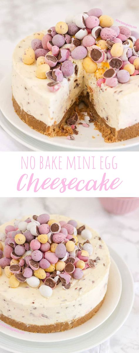 Make your own no bake mini egg cheesecake with this dessert recipe. This cheesecake is the perfect food idea for Easter and spring. Eggie Cheesecake, Easter Egg Dessert Ideas, Easter No Bake Cheesecake, No Bake Easter Cheesecake Recipes, Cheesecake Decorations, Egg Cheesecake Easter, Mini Eggs Cheesecake, No Bake Mini Egg Cheesecake, Easter Mini Egg Cheesecake