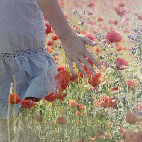 . Picking Flowers, Field Of Dreams, Poppy Field, The Meadows, A Perfect Day, Foto Inspiration, The Grass, Simple Pleasures, Flower Field