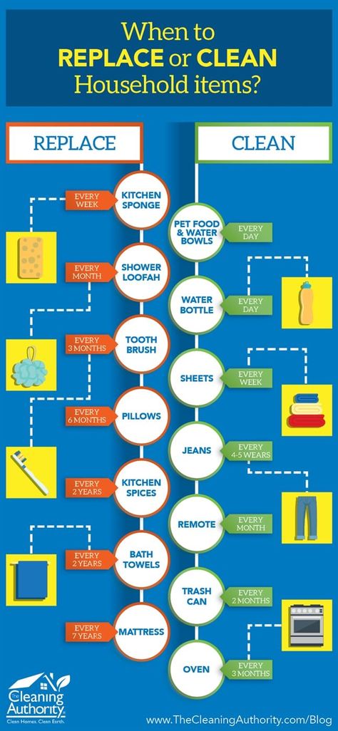 How Often To Replace Household Items, How Often To Clean, When To Replace Household Items, Clean Closet Organization, Clean Organized House, Cleansing Foods, Schedule Ideas, Cleaning Closet Organization, Clean Closet