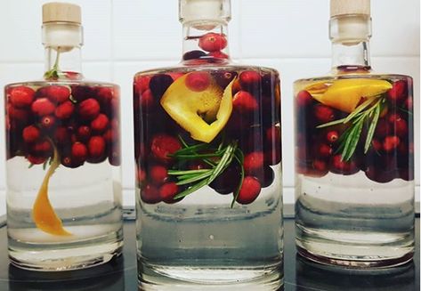 Gin Infusion Recipes, Infused Gin Recipes, Make Your Own Alcohol, Infused Alcohol Recipes, Making Gin, Diy Liquor, Decanter Display, Homemade Gin, Homemade Whiskey