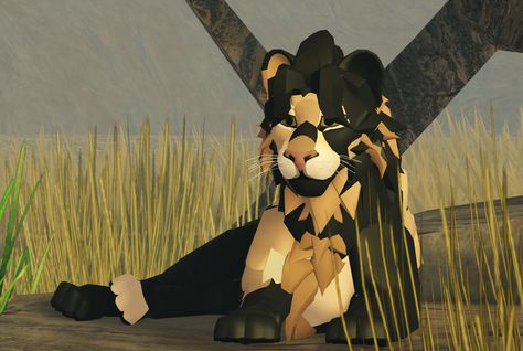 A Lions Pride Morph Ideas, Roblox Lions Pride Oc, Lion Pride Roblox Ideas, Lions Pride Morph Ideas, A Lions Pride Morphs, Pride Oc, Alp Morphs, Warriors Erin Hunter, Lion Games