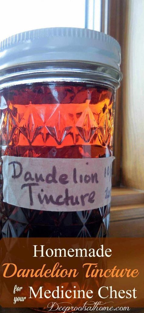 Dandelion Tincture, Detox Your Liver, Homemade Detox, Health Cleanse, Medicine Chest, Herbal Tinctures, Herbal Healing, Liver Detox, Natural Detox