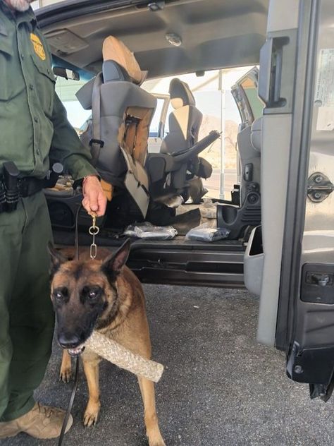 Police Behind Car Snap, Back Of Police Car Snapchat, Us Border Patrol, Us Border, Border Patrol, Police Dog, Inside Car, Military Dog, Military Service Dogs