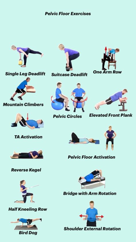 Floor Exercises, Pelvic Floor Exercises, Floor Workouts, Pelvic Floor, Workout Routine