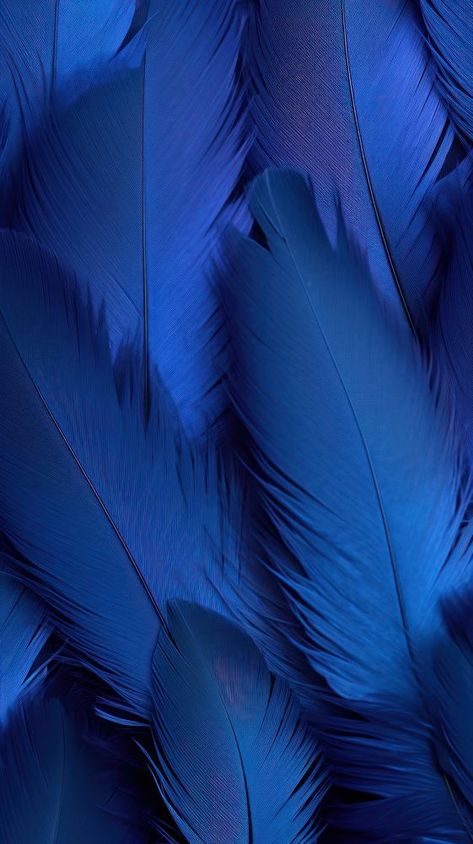 Abstract blue feathers background backgrounds lightweight fragility.  | premium image by rawpixel.com / Ling Blue Feathers Aesthetic, Blue Feather Background, Feathers Aesthetic, Feathers Background, Feather Background, Blue Feathers, Feather Pattern, Blue Feather, Character Ideas