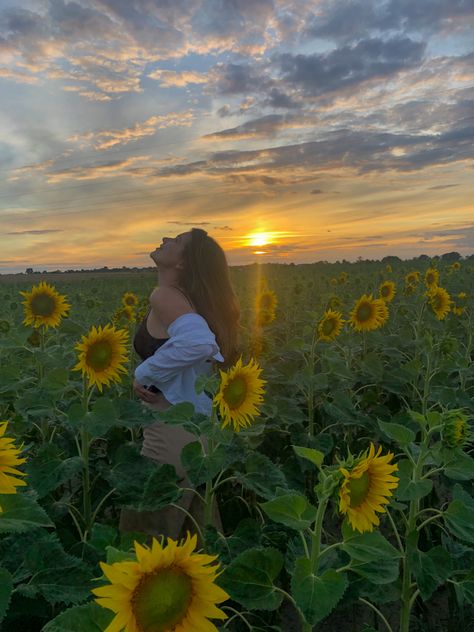 Sunflower Sunset Photoshoot, Sunflower Film Photography, Sunflower Shoot Photo Ideas, Sunflower Senior Photos, Sunflower Feild Pics, Sunflower Patch Photoshoot, Sunflower Farm Photoshoot, Sunflower Photoshoot Ideas, Sunflower Picking