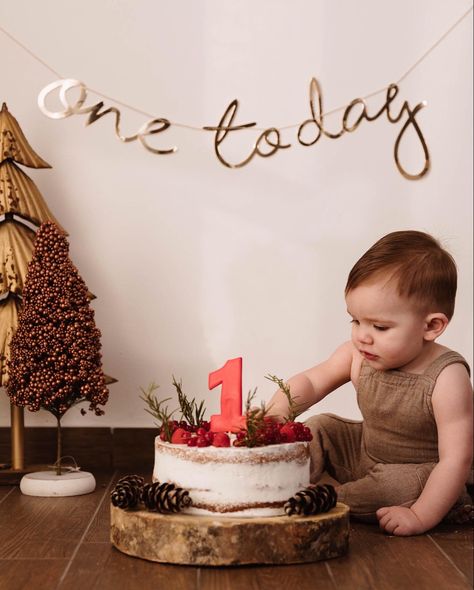 December Smash Cake, Winter Smash Cake, 1st Bday Cake, Smash Cake, Christmas Pictures, Cake Smash, Birthday Cake, Cake