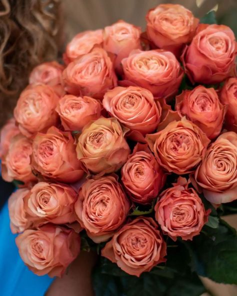 Kahala roses 🧡 #kahalaroses #roses #floweraddict #flowers #loveflowers #flowerlovers #liatrisfloral #liatristeam #florist #flowershop photo credits @eva_rigou Kahala Rose, Love Flowers, Flower Shop, Florist, Roses, Flowers, Floral