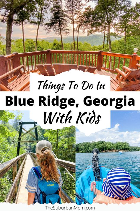 Things To Do In Blue Ridge Georgia With Kids - The Suburban Mom Cold Broccoli Salad, Blue Ridge Mountains Georgia, Usa Vacations, Mountain Coaster, Recipe With Bacon, Southern Usa, Travel Georgia, Suburban Mom, Blue Ridge Georgia