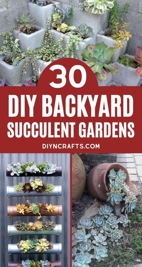 You'll love this list of 30 backyard succulent gardens! Tons of designs for adding beauty and life to your yard with little effort! A gardener's dream! Check out all of the unique vertical succulent gardens, designs for garden spaces, and amazing succulent planters. #Succulents #SucculentPlanter #SucculentGarden #BackyardGarden #Gardening #Cactus Vertical Succulent Planter, Container Succulents Ideas, Succulent Pot Garden, Rustic Garden Decor Ideas Backyards, Succulent Waterfall, Hanging Succulents Outdoor, Unique Succulent Planter Ideas, Cactus Garden Outdoor, Suculentas Ideas