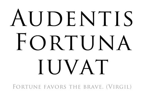 Audentes Fortuna Iuvat Tattoo, Audentes Fortuna Iuvat, Latin Phrases, Physical Pain, Tattoo Ideas, Physics, Novelty Sign, Tattoos, Quick Saves