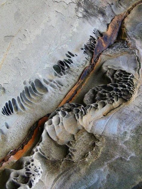 Gabriola Sandstone Abstract 🏞️✨ Explore the intriguing and artistic formations of Gabriola sandstone. Perfect for those who appreciate natural art and geological wonders! 🌿🪨 #SandstoneArt #GeologicalBeauty #GabriolaIsland Rockpool Photography, Earth Texture, Artisan Tiles, Rock Textures, Ceramic Texture, Texture Inspiration, Natural Art, Organic Form, Abstract Nature