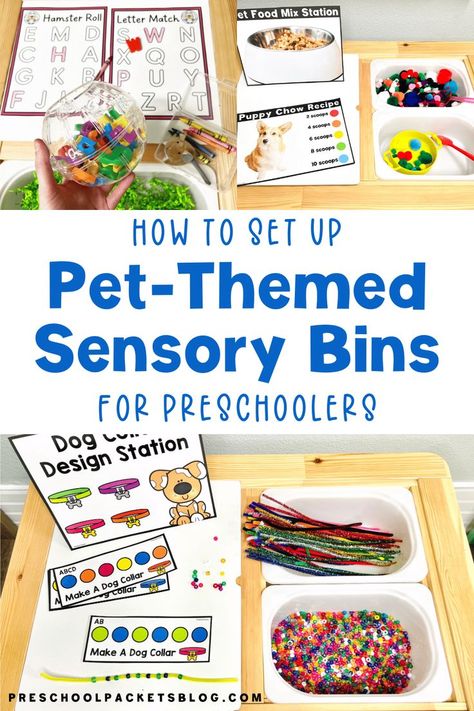 Do you have a pet-themed week in your classroom? It is one of my favorite themes to put together and the kids love it too! When planning for a new week and theme, I always try to incorporate sensory bins. Preschool Pet Week, Pet Week Preschool Activities, Sensory Bins For Preschool, Preschool Pets Unit, Preschool Pet Activities, Literacy Activities Preschool, Pets Preschool Theme, Prek Classroom, Preschool Centers