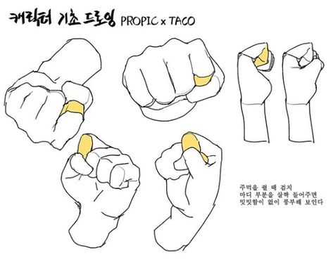 Propic Taco Hands, Hands Tutorial, Anatomy Tutorial, Hand Drawing Reference, Anatomy Sketches, Body Reference Drawing, Hand Reference, Anatomy Drawing, Poses References