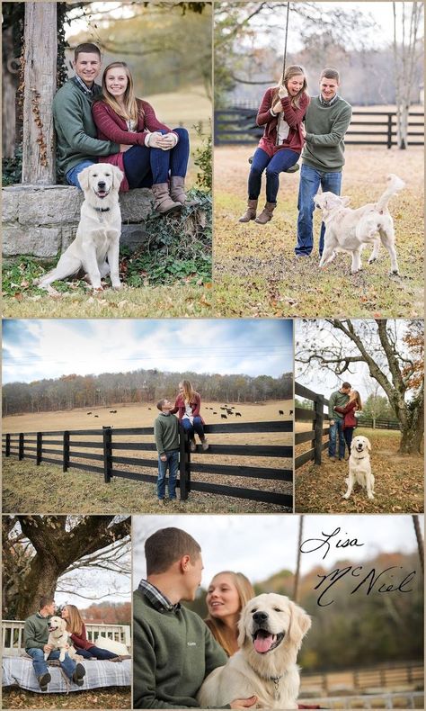 Family Dog Pictures, Pet Family Photos, Dog Family Pictures, Family Dog Photos, Family Pet Photography, Christmas Pic, Photos With Dog, Family Picture Poses, Dog Family