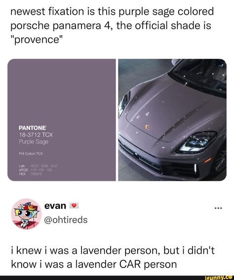 This is adorable :) Lavender Car, Porsche Panamera 4, Purple Sage, Going Shopping, Pantone Colors, Grey Paint, Sage Color, Car Hacks, Just Pretend