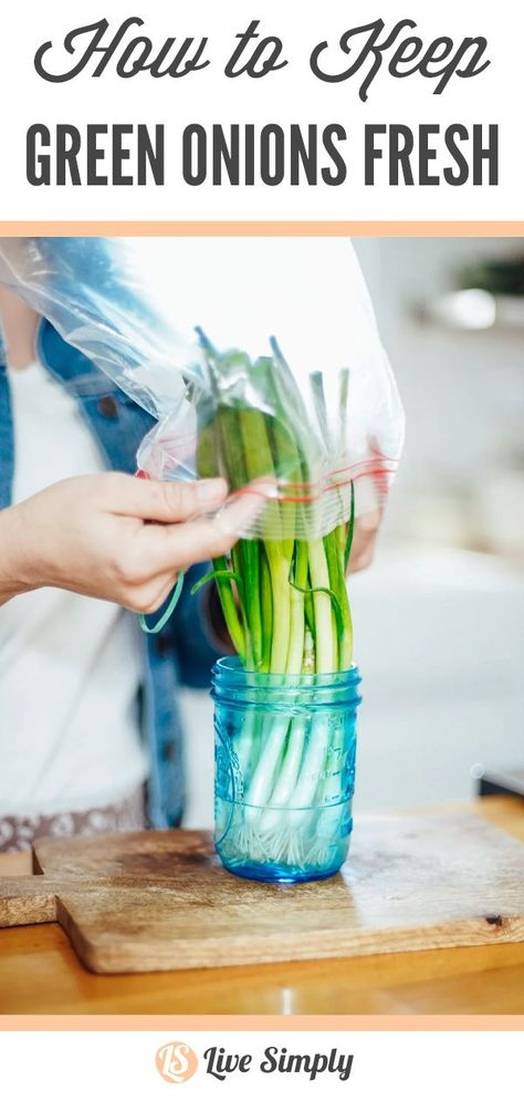 Say goodbye to wilted green onions! Here’s how to store green onions properly to keep them fresh for weeks. Green Onion Storage How To Store, How To Keep Green Onions Fresh In Fridge, How To Keep Cabbage Fresh Longer, How To Dry Green Onions, How To Freeze Green Onions, Green Onions Storing, Storing Green Onions In Fridge, How To Keep Green Onions Fresh, How To Store Green Onions In Fridge