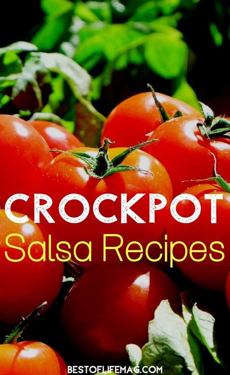 Crockpot Salsa Recipe, Slow Cooker Salsa Recipe, Recipes Without Onions, Diy Salsa, Funny Plant Sayings, Crock Pot Salsa, Healthy Salsa Recipe, Plant Sayings, Healthy Salsa