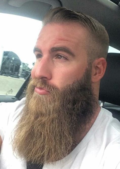 ♠♠♠♠ #BeardedPantyDropper  #BeardStyle  #BeardLove  #BeardLife  #BeardNation  #BeardPorn Bread Hair, Blond Beard, Bearded Guys, Blonde Beard, Beard Cuts, Long Beard Styles, Man Beard, Beard Envy, Thick Beard