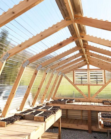 Triangle Greenhouse, White Greenhouse, Greenhouse Build, Timber Greenhouse, Green House Design, Backyard Greenhouse, Garden Veggies, Diy Greenhouse, Outdoor Classroom