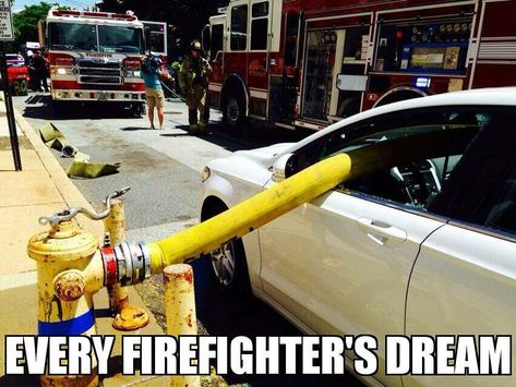 Firefighter Funny Meme Firefighter Memes, Firefighter Humor, Random Picture, Dump A Day, Picture Day, Random Pictures, Funny Animal Memes, Funny People, Funny Laugh