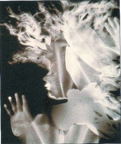 Martha Madigan's Goddess #1, 1997. Solar photogram on gold-toned POP paper. Experimental Darkroom Photography, Surreal Film Photography, Solarized Photography, Expiremental Photography, Anthotype Photography, Photograms Ideas, Harmony Photography, Shadow Images, Alternative Photography