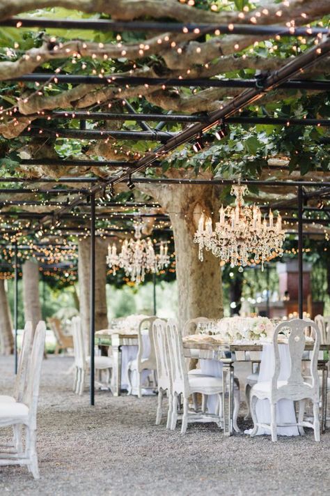 Napa Valley garden wedding decor with chandeliers and draping lights: http://www.stylemepretty.com/2016/09/02/napa-valley-garden-party-small-wedding/ Photography: Jana Williams - http://jana-williams.com/ Beaulieu Garden, Couple Life, Smallest Wedding Venue, Garden Wedding Decorations, Church Flowers, Outdoor Wedding Decorations, Outdoor Wedding Venues, Vineyard Wedding, Napa Valley