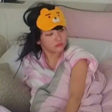 ً on Twitter: "seulgi memes — a thread… " Wake Up Meme, Sleep Meme Funny, Sleep Meme, Hair Meme, Bed Hair, Kang Seul-gi, Sleep Funny, Girl Sleeping, Red Velvet Seulgi