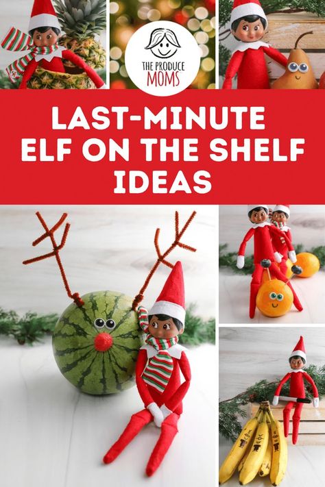 a collection of images featuring an elf of the shelf or two and various produce with googly eyes or marker to make fun faces! Easy Elf On The Shelf Ideas Bananas, Elf Fruit Ideas, Fruit Loops Elf On The Shelf, Elf On Shelf Food Ideas, Elf Oranges, Elf On The Shelf Oranges, Elf On The Shelf Fruit, Elf On The Shelves, Elf Food