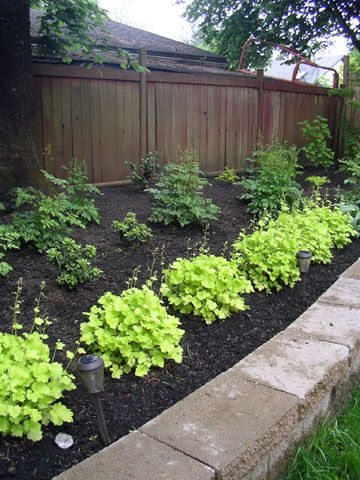 Landscape design ideas - native BC west coast plants Landscape Design Ideas, Fraser Valley, West Coast, Diy Garden, Landscape Design, Focal Point, Landscaping, Design Ideas, Plants