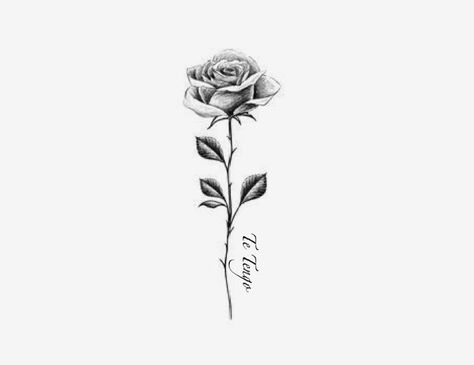 Small Rose Tattoo Men, Single Rose Tattoo, Rose Tattoo For Men, Rose Tattoo Men, Single Rose Tattoos, Rose Tattoo Forearm, Rose Tattoo Sleeve, Rose Tattoos For Men, Rose Tattoos For Women