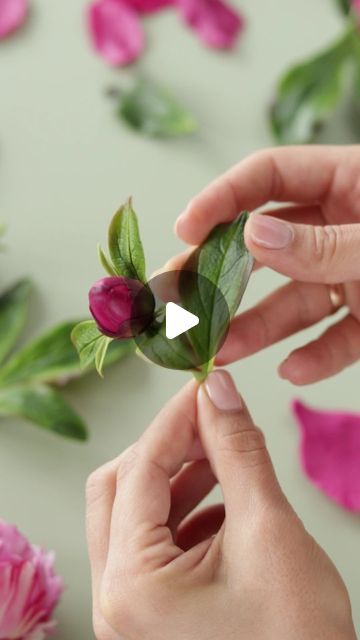 Clay Peony, Sugar Flowers Tutorial, Clay Flowers, Sugar Flowers, Cold Porcelain, Flower Tutorial, Sirens, It's Hard, Daily Reminder