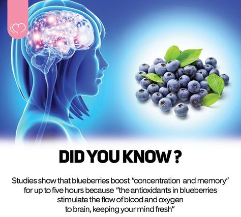 Blueberry Benefits, Apple Cider Vinegar Health, Blueberry Varieties, Dark Chocolate Benefits, Chocolate Benefits, Healthy Hacks, Growing Blueberries, Keto Diets, Food Health Benefits