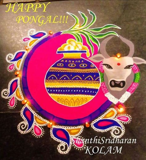 Rangoli Designs For Bhogi, Mattu Pongal Kolam Rangoli, Bhogi Rangoli Designs, Mattu Pongal Kolam, Pongal Kolam Design, Rangoli Designs Pongal, Rangoli Designs Sankranthi, Sankranti Rangoli Designs, Pongal Rangoli Design