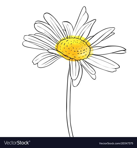 Flower Drawing Daisy, Drawing Daisy, Daisy Flower Drawing, Daisy Drawing, Daisy Tattoo, Illustration Botanique, Vector Drawing, Flower Nails, Flower Images