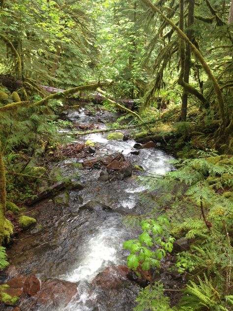 Clackamas River, Oregon Clackamas Oregon, 2023 Vision, Pacific Northwest, North West, Pretty Pictures, Mother Nature, Oregon, Road Trip, Favorite Places