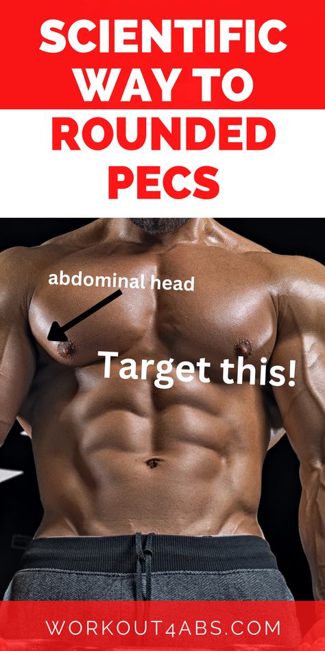 Scientific Way to Rounded Pecs Male Chest Workout, Lower Pec Workout, Lower Chest Workout Men, Body Weight Workout Men, Lower Chest Exercises, Chest Workout With Dumbbells, Chest Workouts For Men, Pec Workouts, Core Workout Men