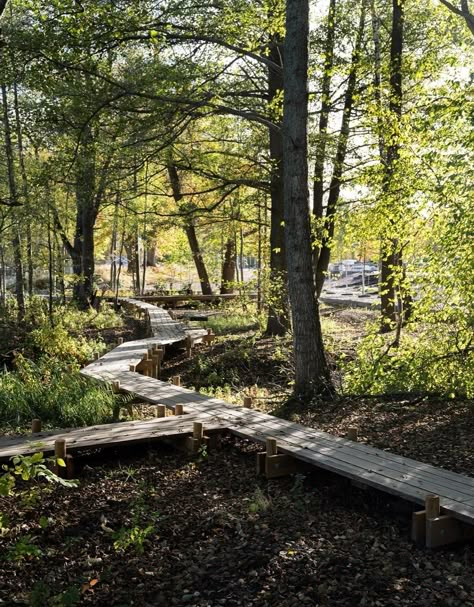 Natural Walkway, Landscape Urban Design, Innovation Center, Pocket Park, Forest Trail, Park Trails, Forest Path, Beach Park, Nature Play