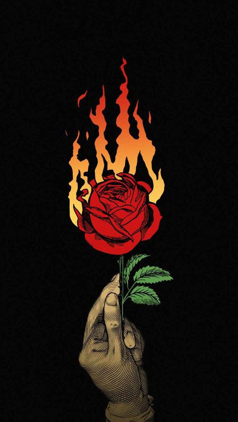 red rose / love always burns Angel Wings Iphone Wallpaper, Wallpaper Iphone Roses, Iphone Wallpapers Hd, Burning Rose, Mushroom Wallpaper, Wallpapers Ipad, Amoled Wallpapers, Ipad Wallpapers, Witchy Wallpaper