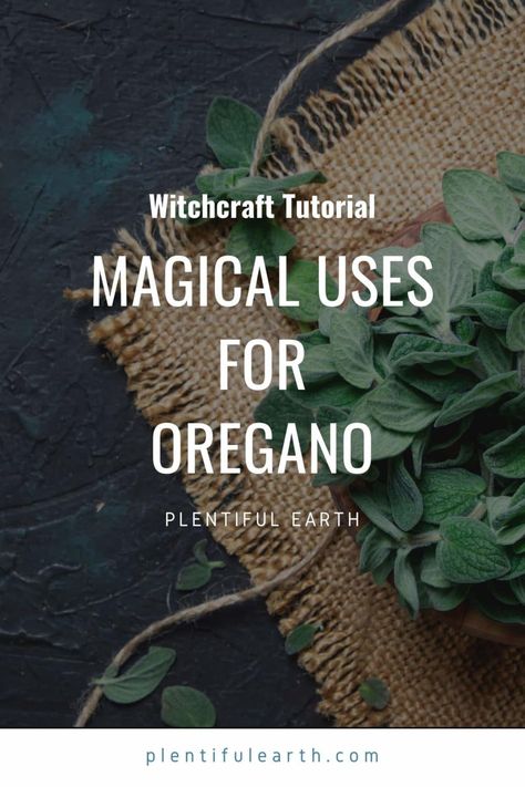 Oregano Witchcraft, Justice Spell, Herbal Grimoire, Herbs Healing, Good Luck Spell, Green Witchery, Magickal Correspondences, Kitchen Magick, Luck Spell