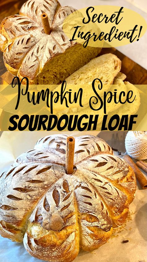 This slightly sweet and pumpkin spice sourdough loaf is so beautiful, delicious and fun to make! Made with pumpkin, spices and a surprising secret ingredient that makes this bread irresistible for any Pumpkin spice lover. This loaf will be a showstopper this fall gathering! Sourdough Pumpkin Bread Loaf, Pumpkin Sour Dough Bread Recipe, Sourdough Pumpkin Spice Bread, Sweet Pumpkin Sourdough Bread, Pumpkin Chocolate Chip Sourdough Bread, Pumpkin Sourdough Bread Recipe, Pumpkin Sourdough Loaf, Pumpkin Spice Sourdough, Pumpkin Cinnamon Sourdough Bread