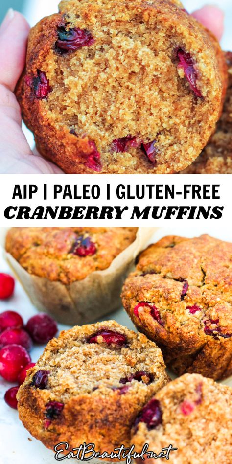 Nut Free Muffins, Aip Muffins, Gluten Free Cranberry Muffins, Aip Breakfast Recipes, Aip Bread, Paleo Cranberry Muffins, Aip Sweets, Egg Free Muffins, Aip Snacks