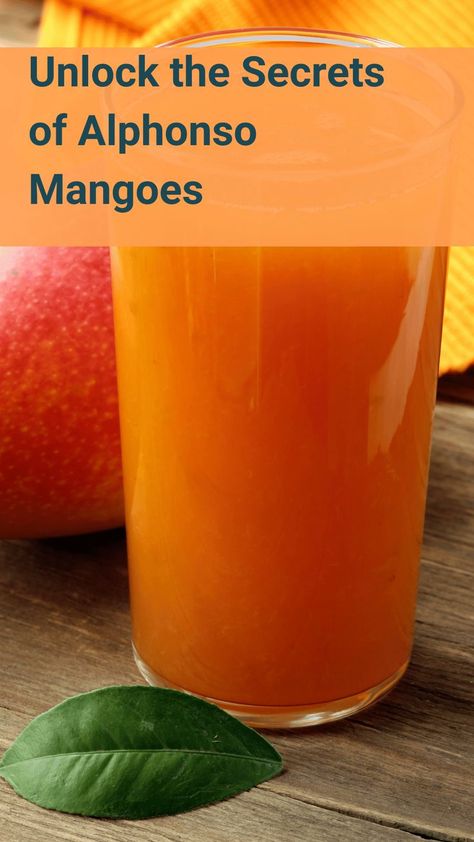 The top health benefits of Alphonso Mangoes. Mango Health Benefits, Alphonso Mango, A Healthy Lifestyle, Tropical Fruit, Skin Health, Health Benefits, Health Tips, Healthy Lifestyle, Mango