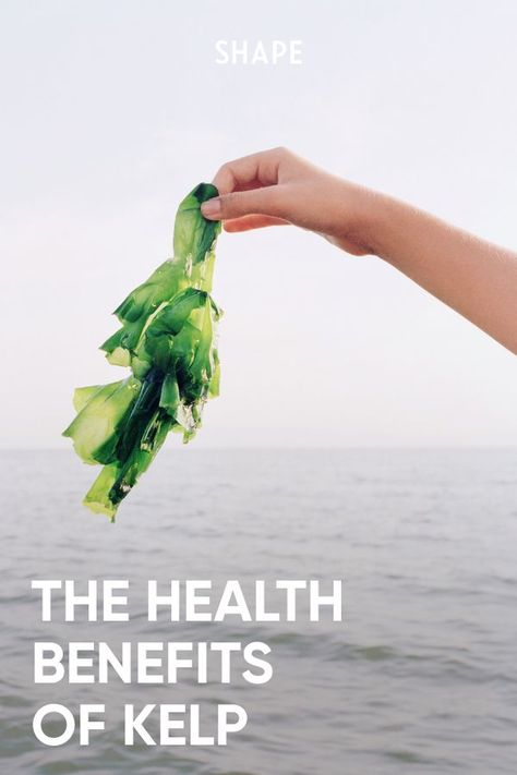 Benefits Of Kelp Supplement, Sea Kelp Benefits, Kelp Recipes, Kelp Benefits, Sushi Seaweed, Benefits Of Vitamin A, Kelp Noodles, Marine Pollution, Kelp Forest