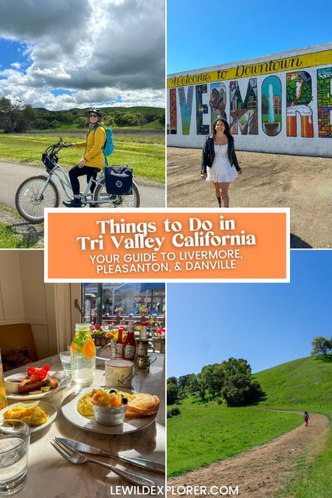 Things to Do in @visittrivalley California | Comprising the cities of Pleasanton, Livermore, Dublin, San Ramon, and Danville, the Tri-Valley boasts a unique blend of vineyards, historic downtowns, and outdoor adventures. Experience award-winning wineries in Livermore Valley and a vibrant culinary scene, from farm-to-table restaurants to bustling food festivals celebrating local flavors! & outdoor enthusiasts will love the abundance of parks and trails that are perfect for hiking, biking, & more. Northern California Travel, Livermore California, Mill Valley California, East Bay Area, From Farm To Table, California Hikes, San Ramon, East Bay, Tourist Spots