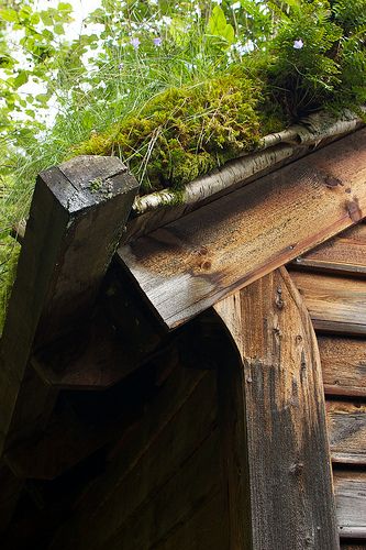 Sod Roof House, Green Roof Benefits, Sod Roof, Green Building Architecture, Green Roof House, Swedish Homes, Earth Sheltered Homes, Grass Roof, Roofing Options