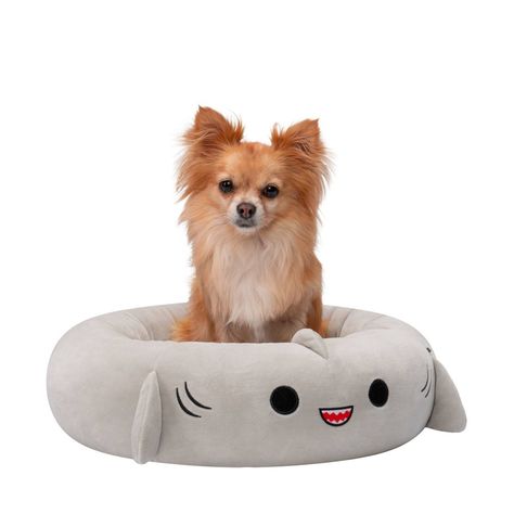 Squishmallows Dog, Shark Cat, Bolster Dog Bed, The Shark, Dog Blanket, Pet Costumes, Happy Animals, Pet Beds, Dog Supplies