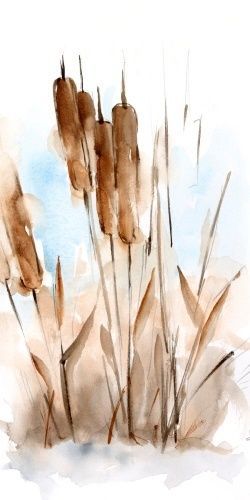 Watercolor Paintings For Beginners, Diy Watercolor Painting, Loose Watercolor, Fall Watercolor, Watercolor Painting Techniques, Watercolor Flower Art, Diy Watercolor, Watercolor Art Lessons, Watercolor Inspiration