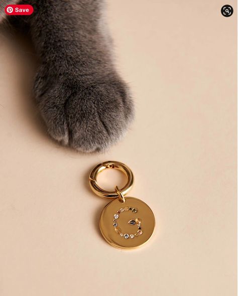 Jewelry For Dogs, Dog Business, Dog Charm, Cat Fashion, Dog Charms, Pet Fashion, Cat Charm, 3d Laser, Cat Jewelry