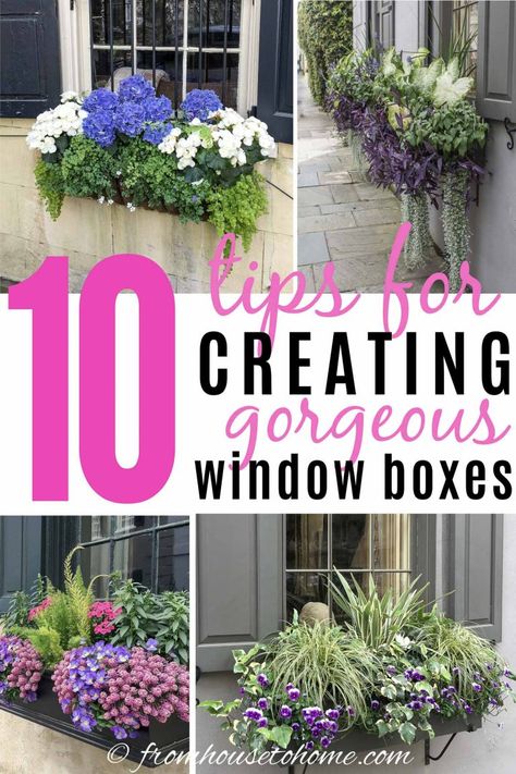 10 Tips For Designing Gorgeous Window Boxes | Gardening Ideas Ferns In Window Boxes, Flower Box Ideas, Impatiens Plant, Flower Combinations, Window Box Plants, Coral Bells Heuchera, Add Curb Appeal, Window Box Garden, Porch Flowers